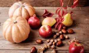 Piatti autunnali della Valtiberina