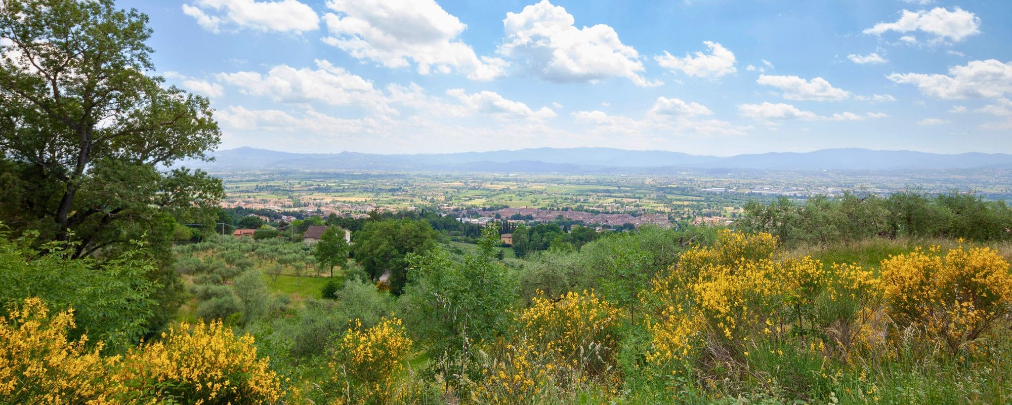 Scopri di più sull'articolo La tua vacanza a Sansepolcro, nel cuore della Valtiberina